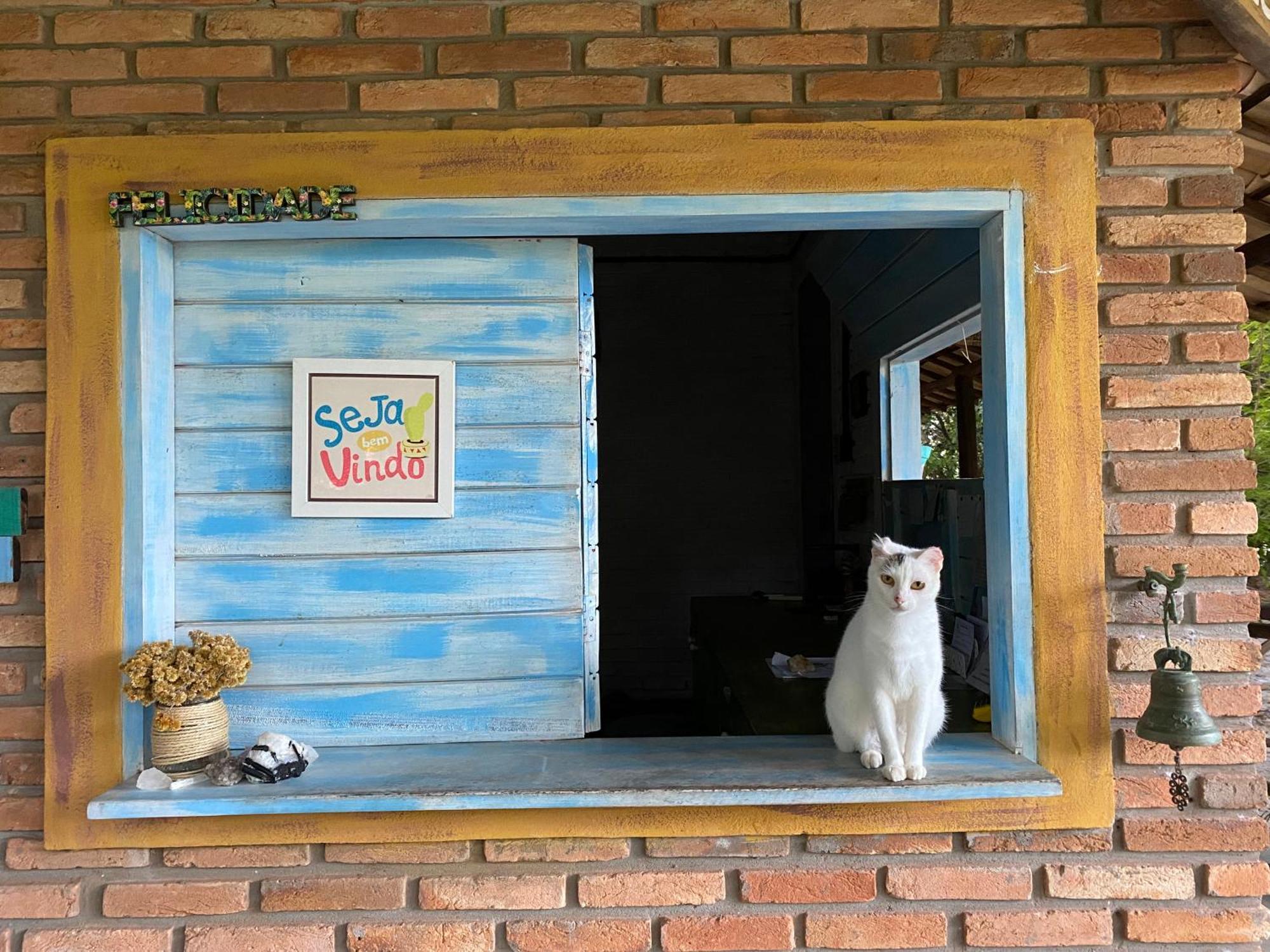 Refugio Do Corsario-Imbassai-Ba Hotell Eksteriør bilde